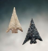 Pair of well styled Columbia Plateau Points recovered in Benton Co., Washington.
