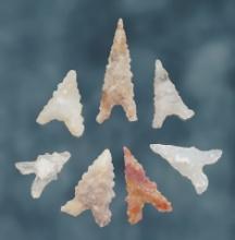 Set of 7 nice New Mexico Points. The largest is 1".