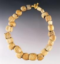 Set of 26 Bone Beads found on the Shaddle Farm in Mason Co., West Virginia. The largest is 7/8".
