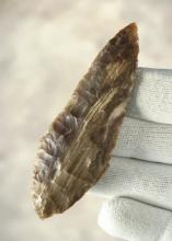 3 3/8" Harahey Knife made from Petrified Wood. Found in Colorado. Comes with a Davis COA.
