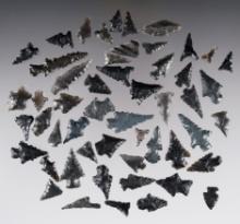 Set of 50 assorted Obsidian Points found in New Mexico. The largest is 1 7/16".