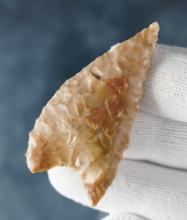 2 1/4" Columbia Mule Ear made from Jasper. Found in Wasco Co., Oregon. Ex. Charlie Mitchell.