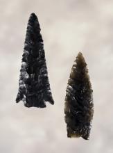 Pair of Obsidian Points, larger is 2". Found by George and Beth Miller near Cedarville, California.