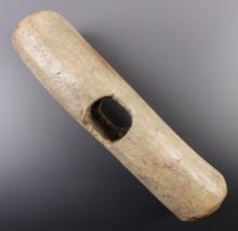 8 3/8" Antler Root Digger found in 1960 along the Columbia River, Washington. Stermer COA.