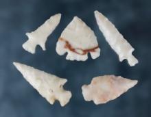 Group of 5 assorted points found by George and Beth Miller, California. Largest is 1 3/16".