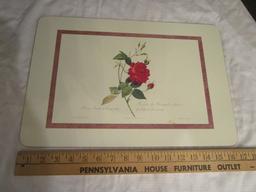 Twelve Cork Placemats
