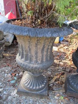 Pair of Heavy Cast Metal Urn Planters with Live Arborvitae Scrubs