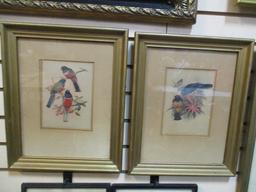 Collection of 5 Vintage Framed Bird Prints