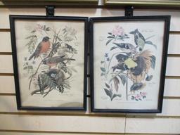 Collection of 5 Vintage Framed Bird Prints