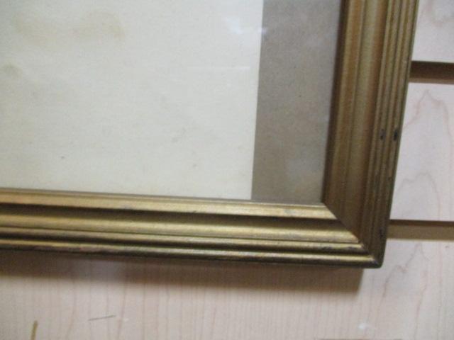 Collection of 5 Vintage Framed Bird Prints