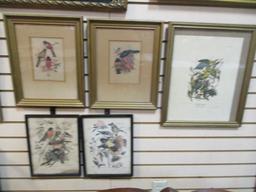 Collection of 5 Vintage Framed Bird Prints
