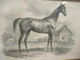 German "Olympia" Equestrian Lithograph of Etching