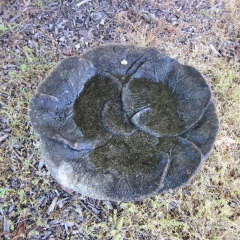 Concrete Lily Pad Bird Bath