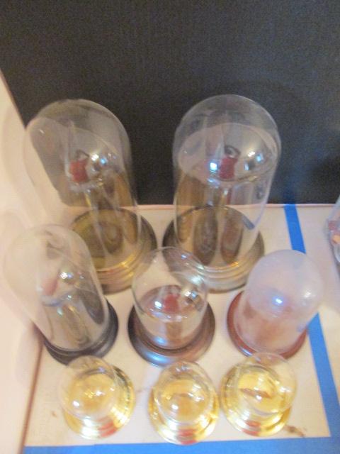 Eight Various Size Display Cloches