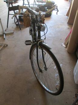 Green Briar Free Spirit 10 Speed Bicycle