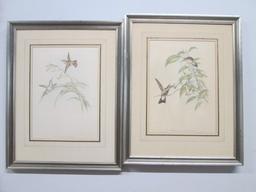 Two J. Gould Hummingbird Lithographs