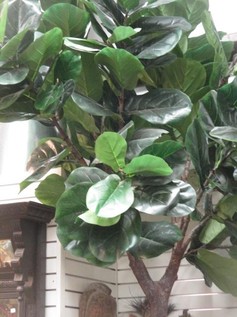 LARGE Artificial Fig Tree in Planter