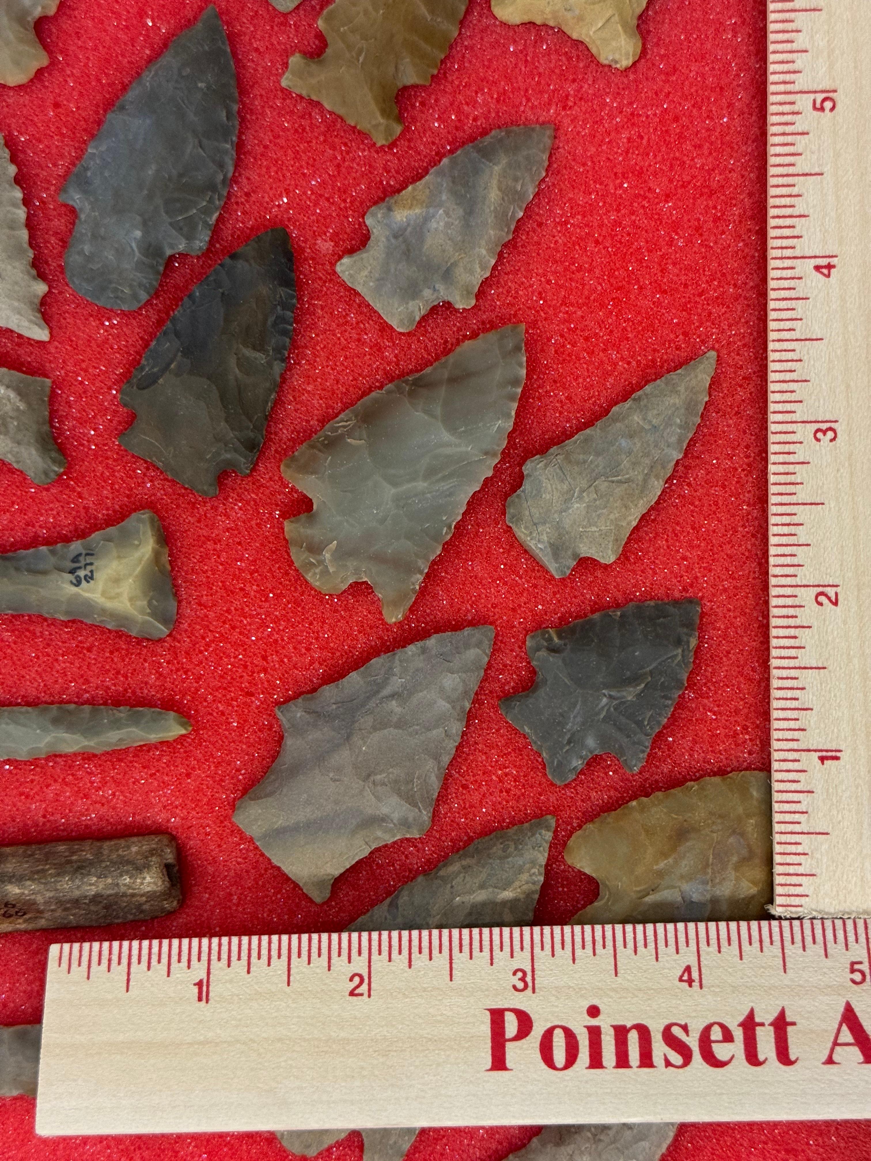 49pc. Curated Ancient Native American Projectile Point Cased Display from North Alabama