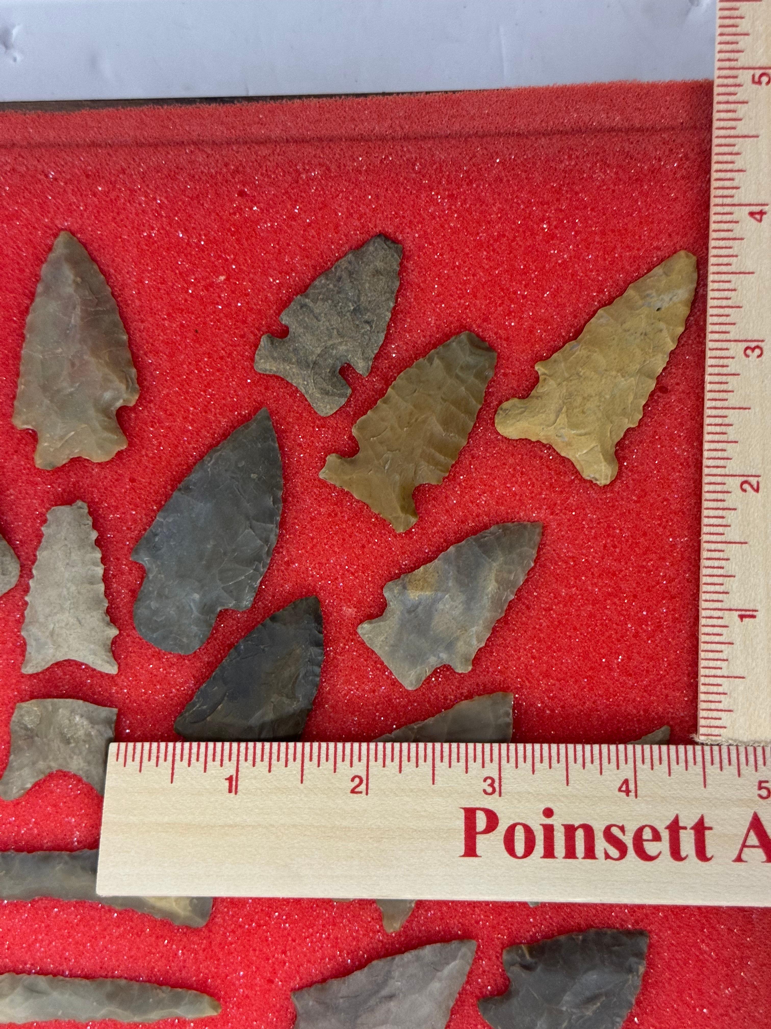 49pc. Curated Ancient Native American Projectile Point Cased Display from North Alabama