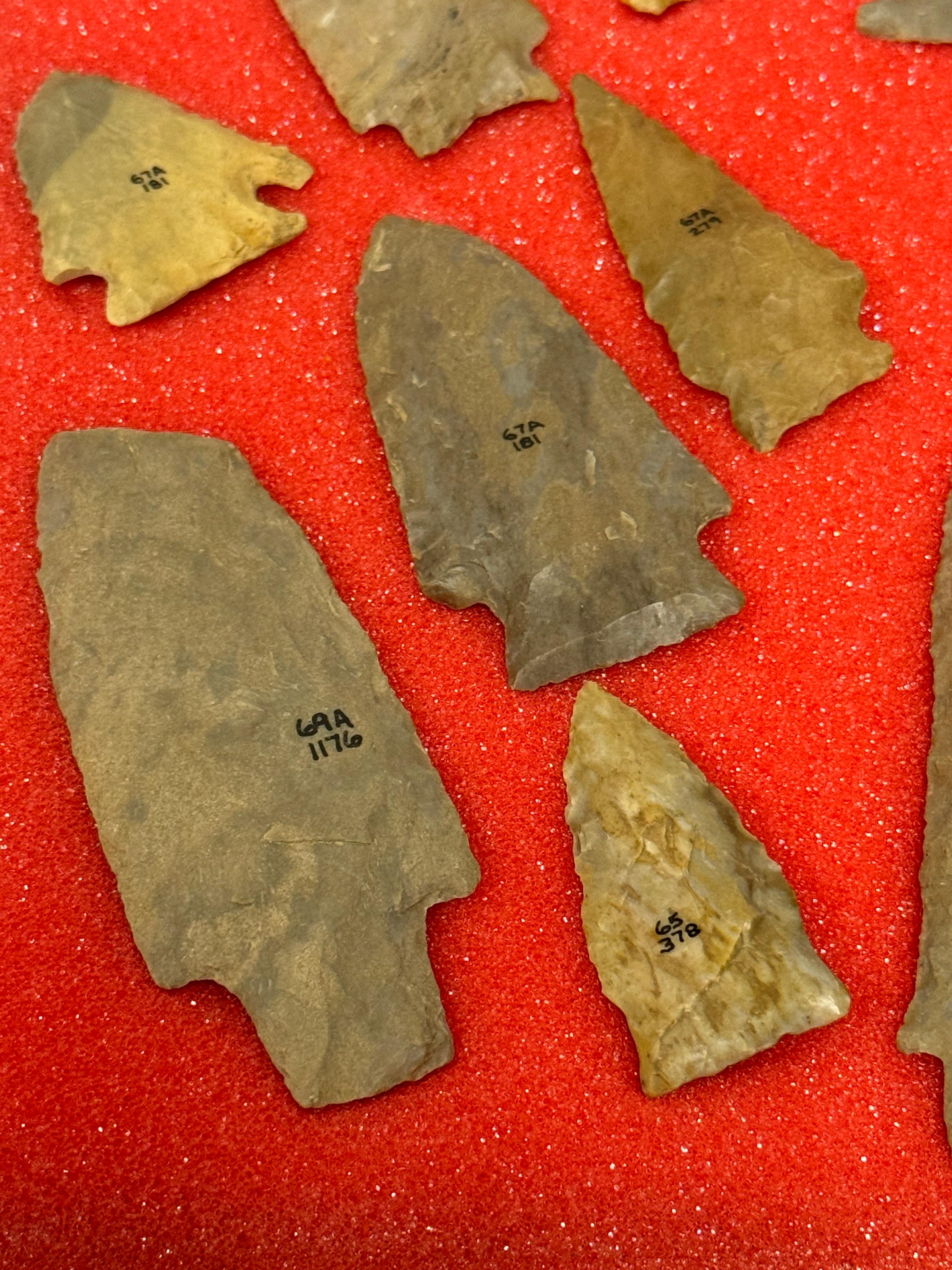 49pc. Curated Ancient Native American Projectile Point Cased Display from North Alabama