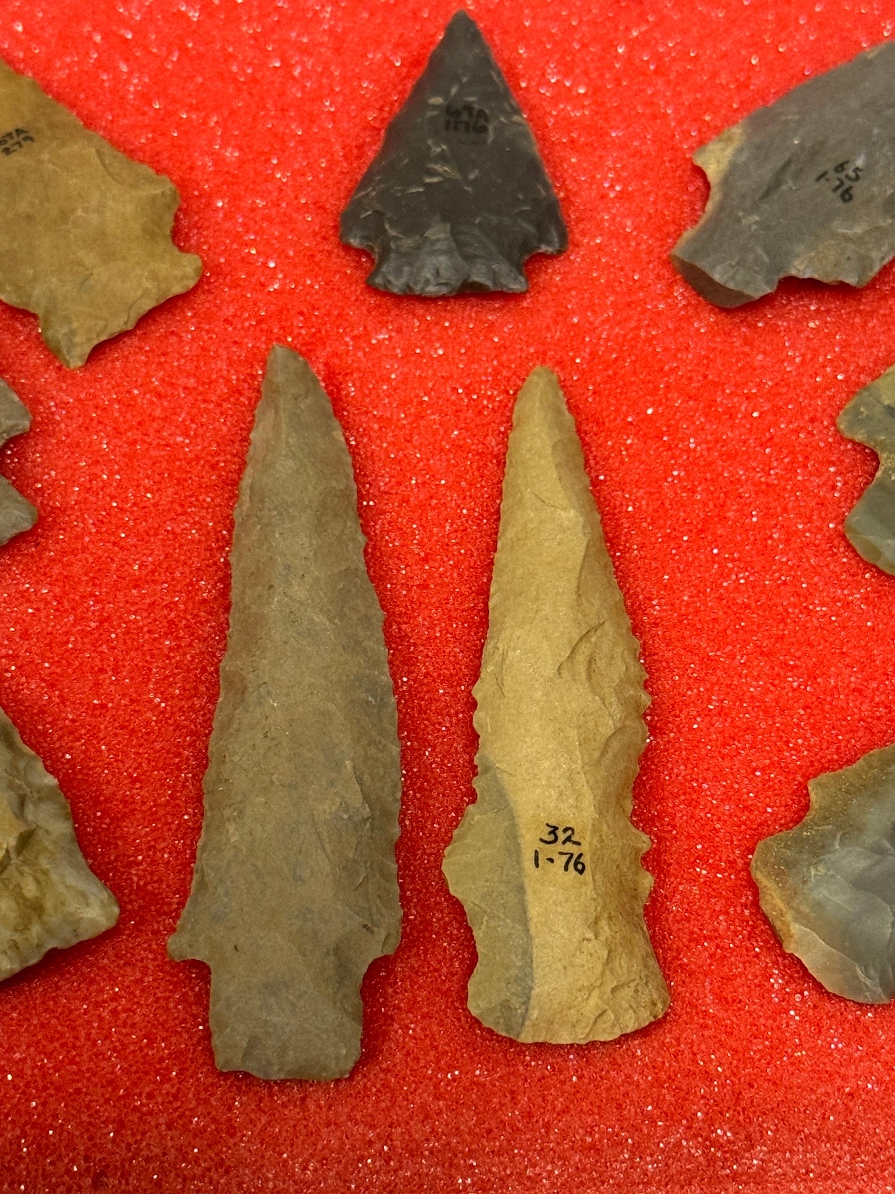 49pc. Curated Ancient Native American Projectile Point Cased Display from North Alabama