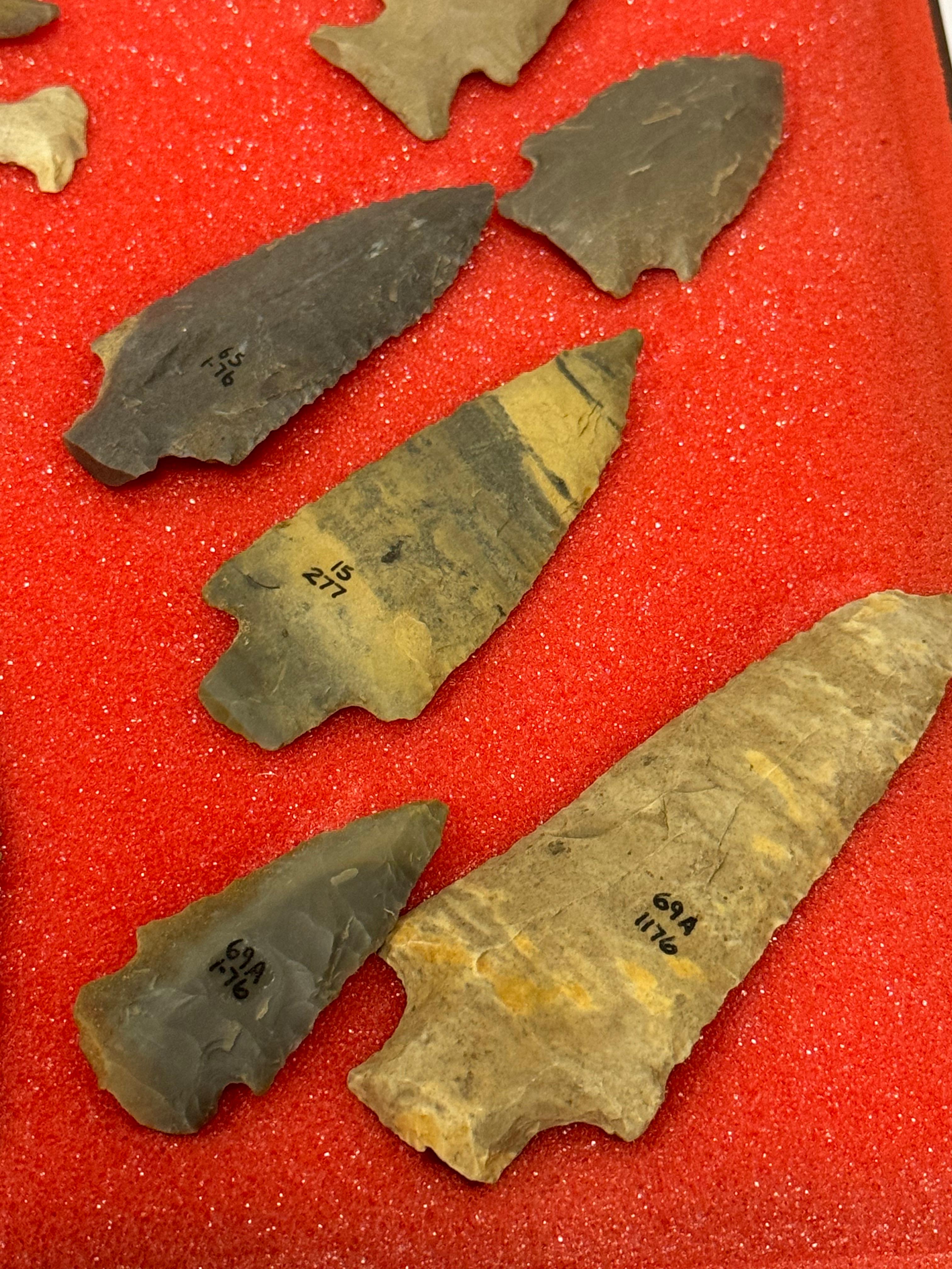 49pc. Curated Ancient Native American Projectile Point Cased Display from North Alabama