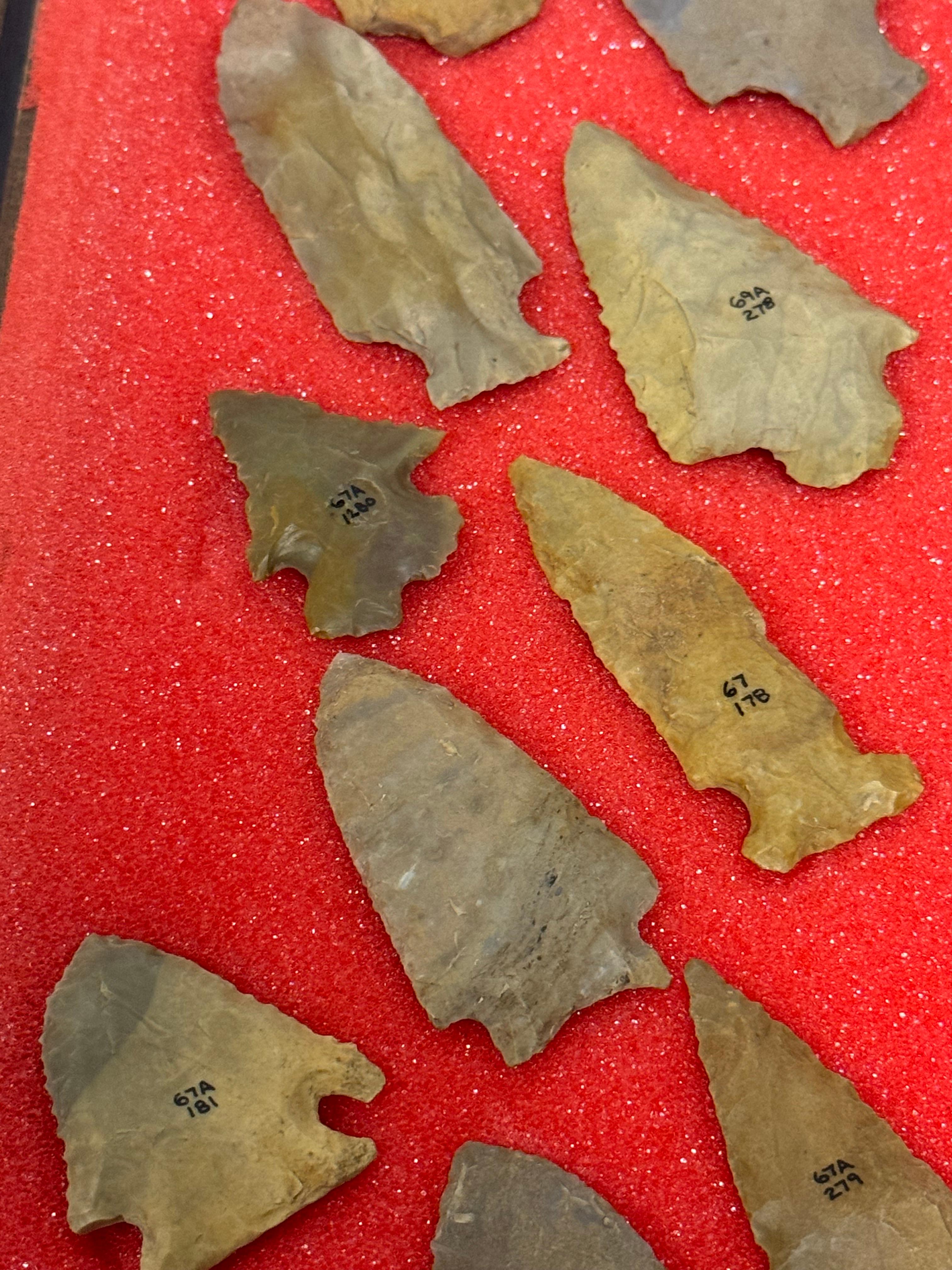 49pc. Curated Ancient Native American Projectile Point Cased Display from North Alabama