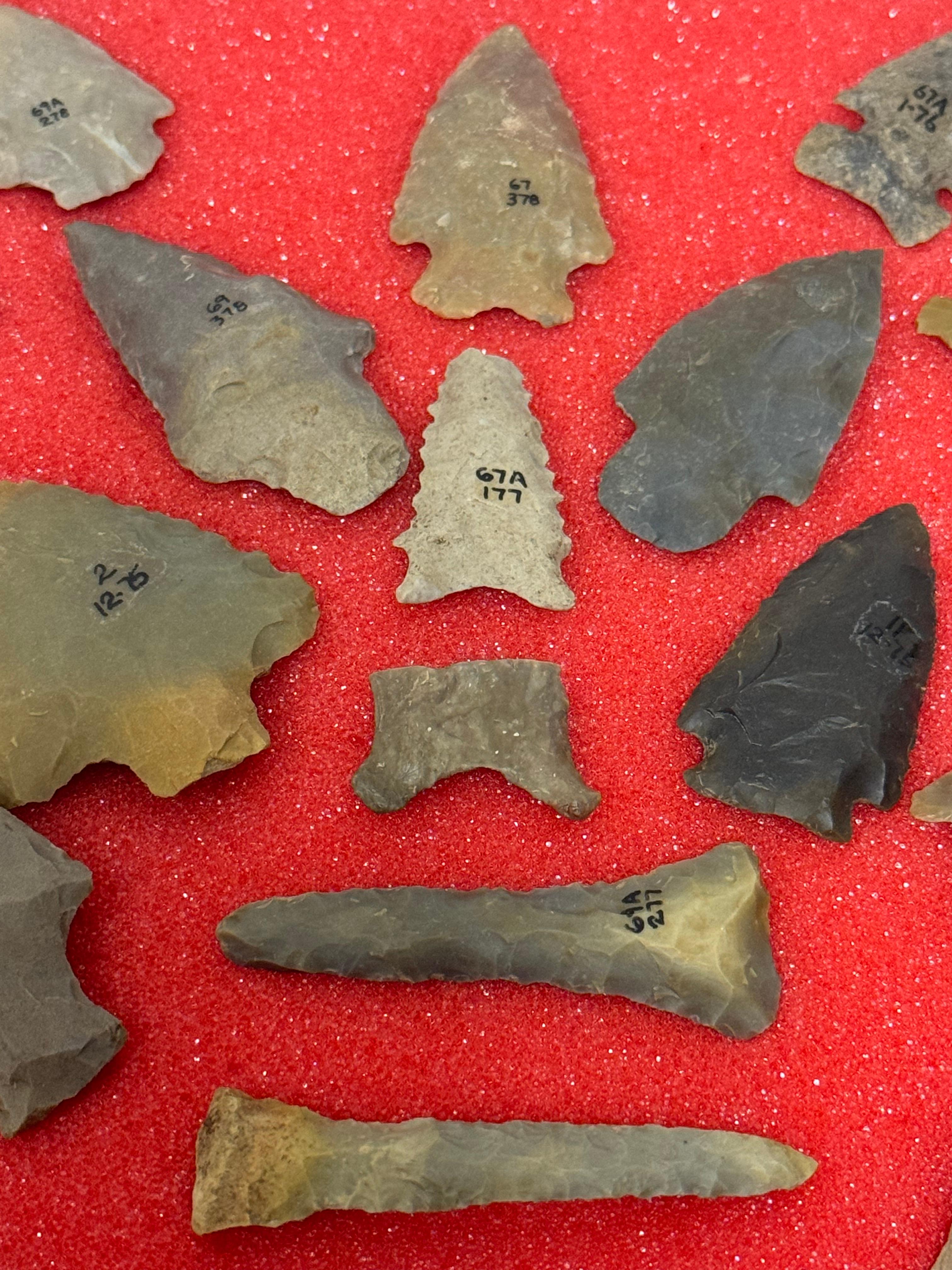 49pc. Curated Ancient Native American Projectile Point Cased Display from North Alabama