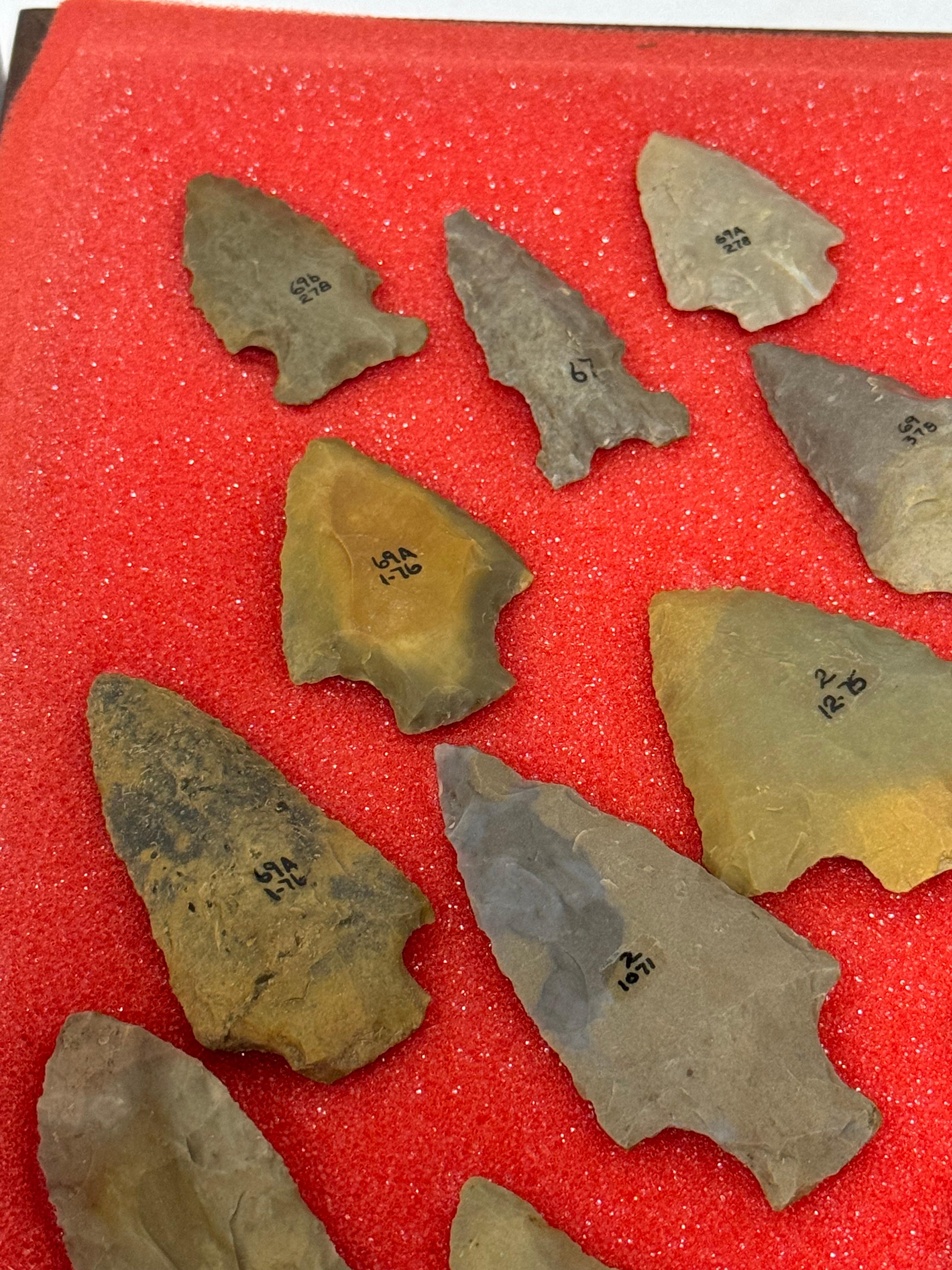 49pc. Curated Ancient Native American Projectile Point Cased Display from North Alabama