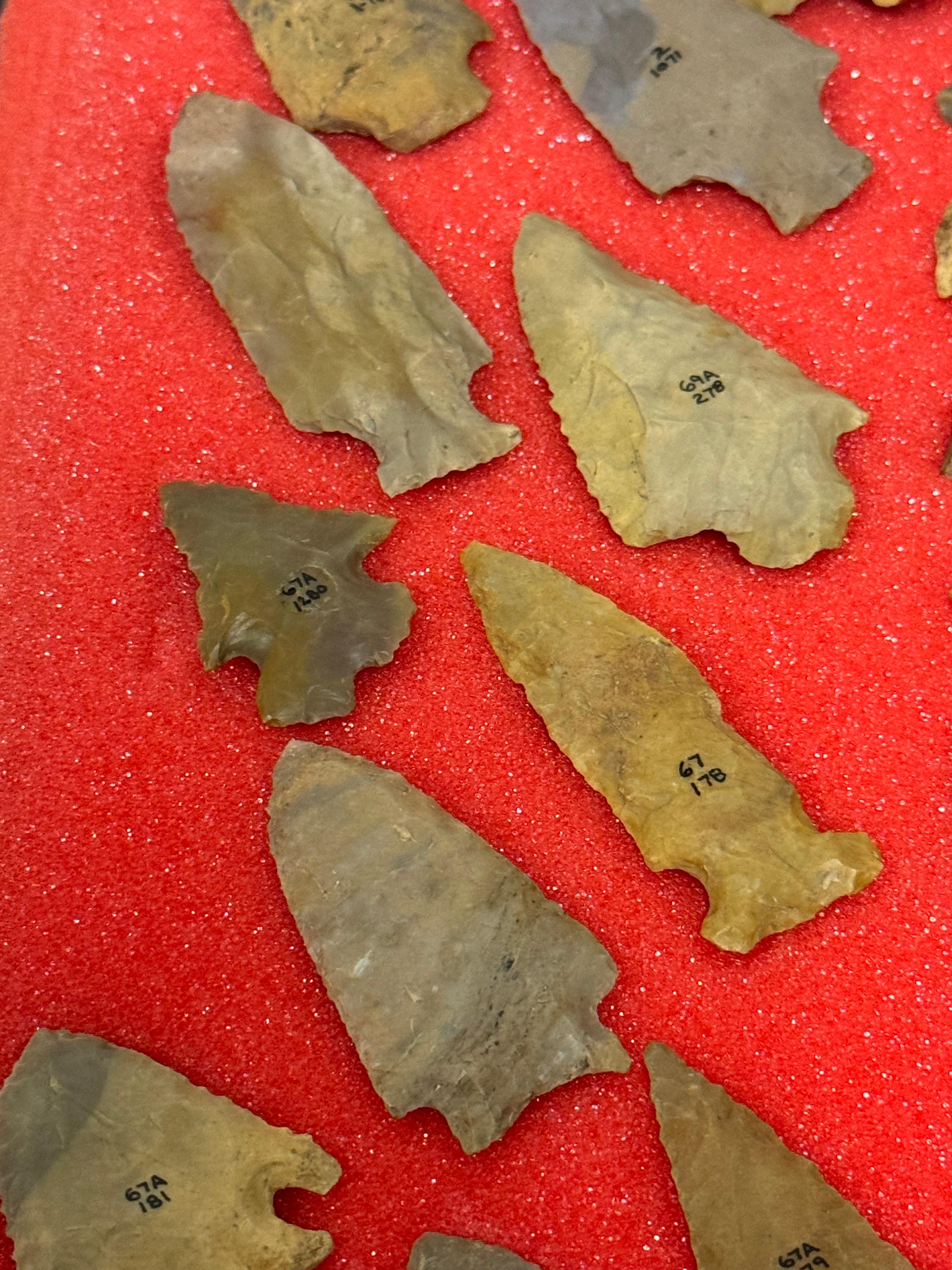 49pc. Curated Ancient Native American Projectile Point Cased Display from North Alabama