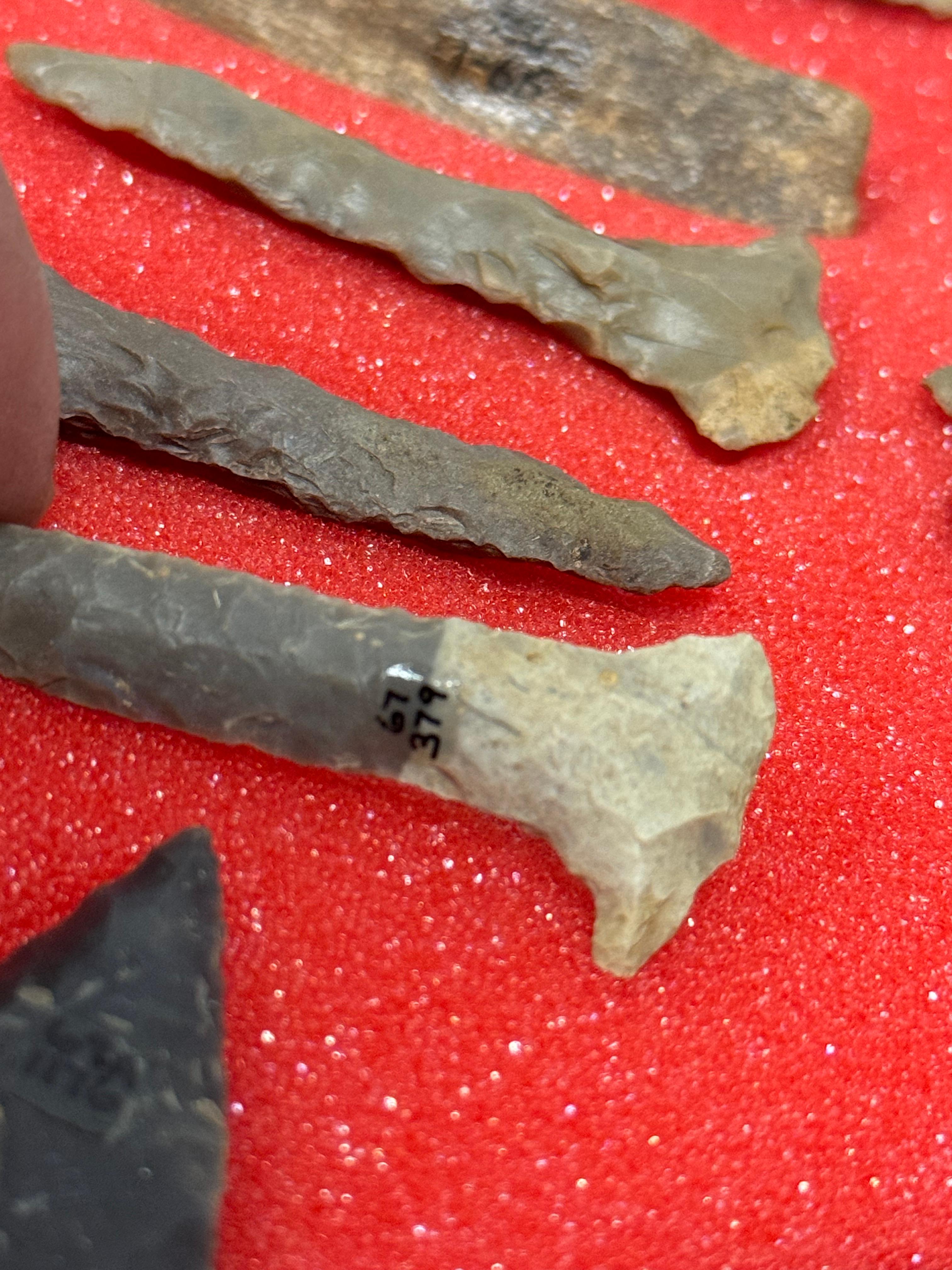 49pc. Curated Ancient Native American Projectile Point Cased Display from North Alabama