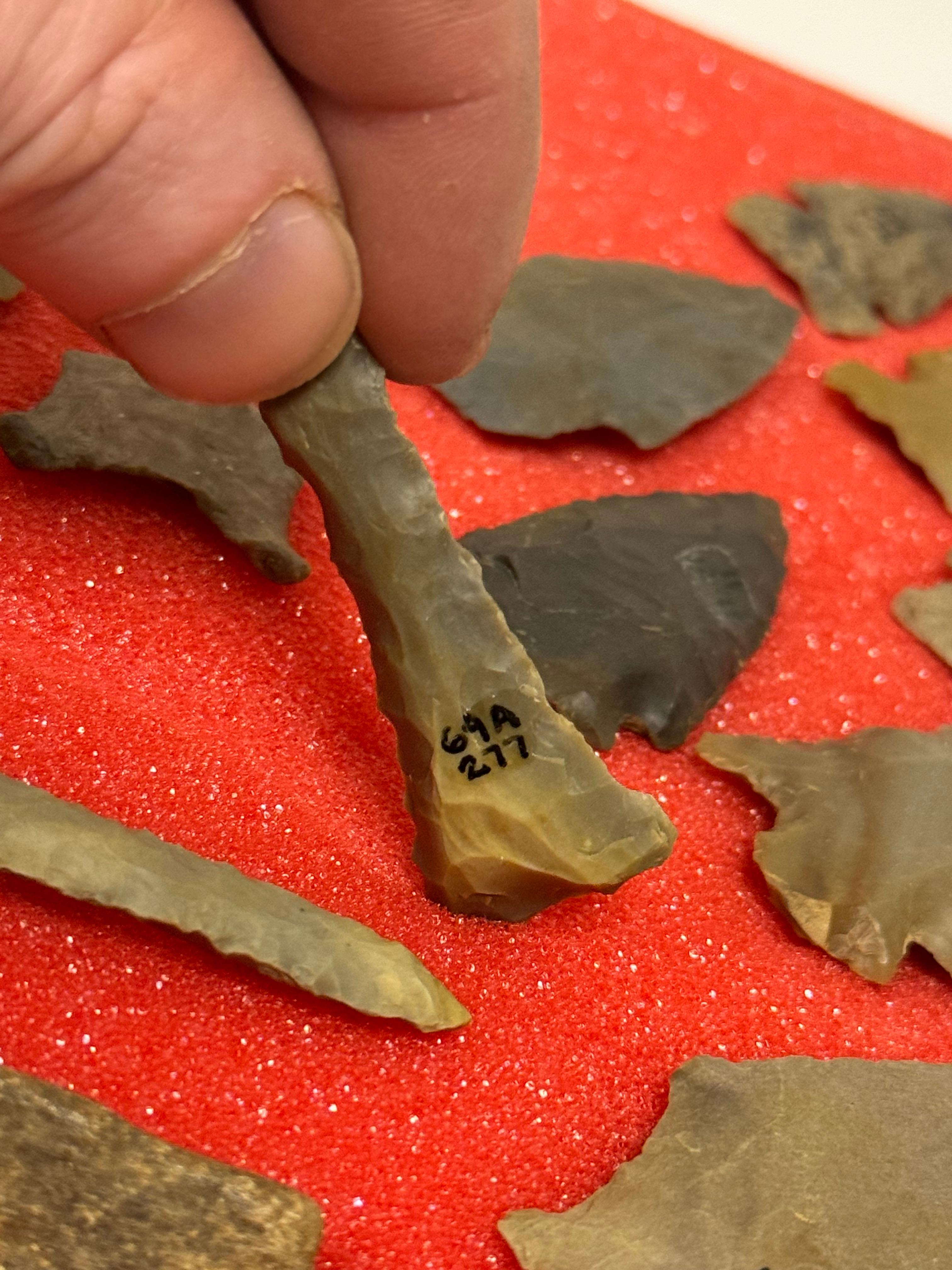 49pc. Curated Ancient Native American Projectile Point Cased Display from North Alabama