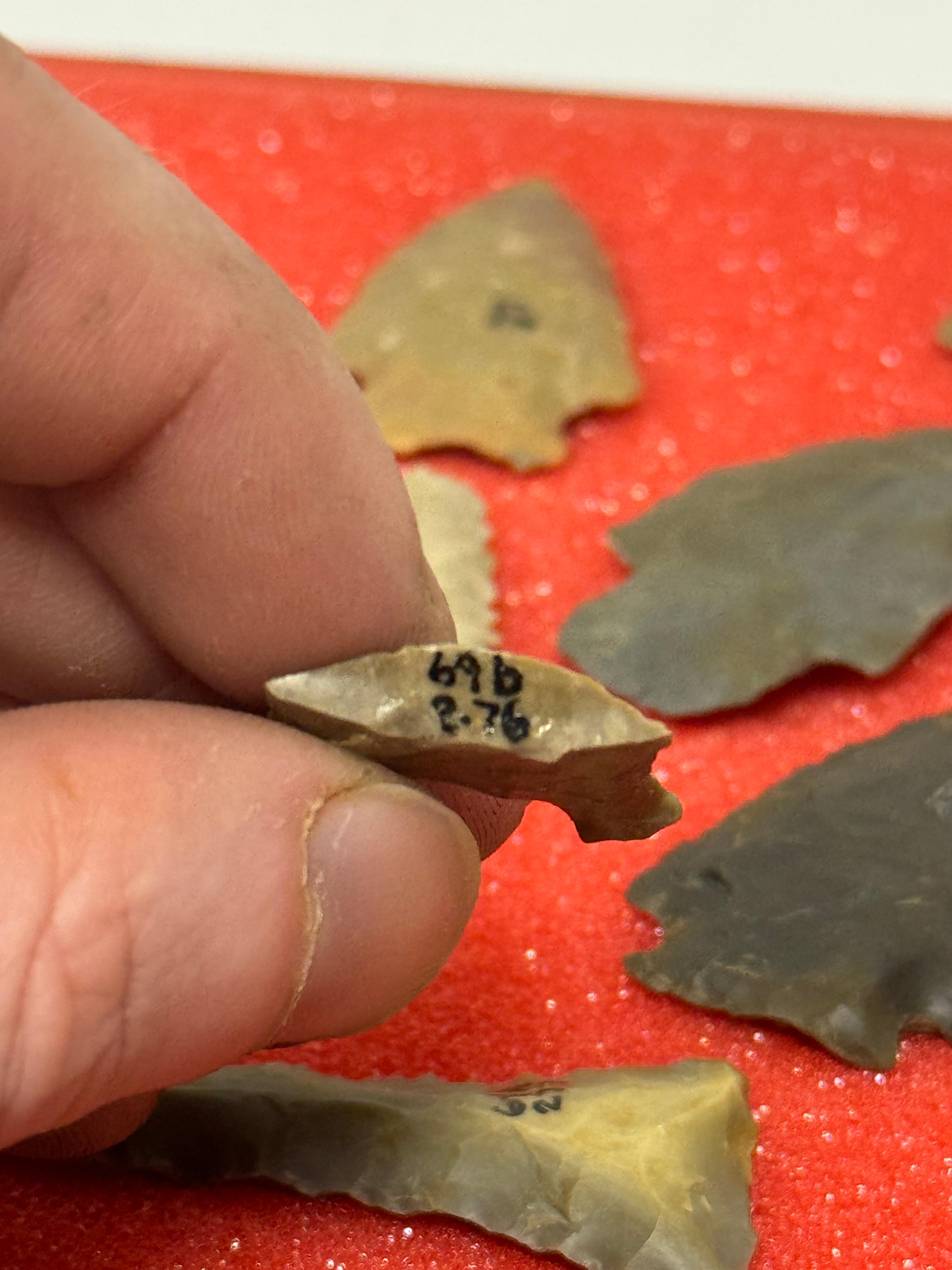 49pc. Curated Ancient Native American Projectile Point Cased Display from North Alabama