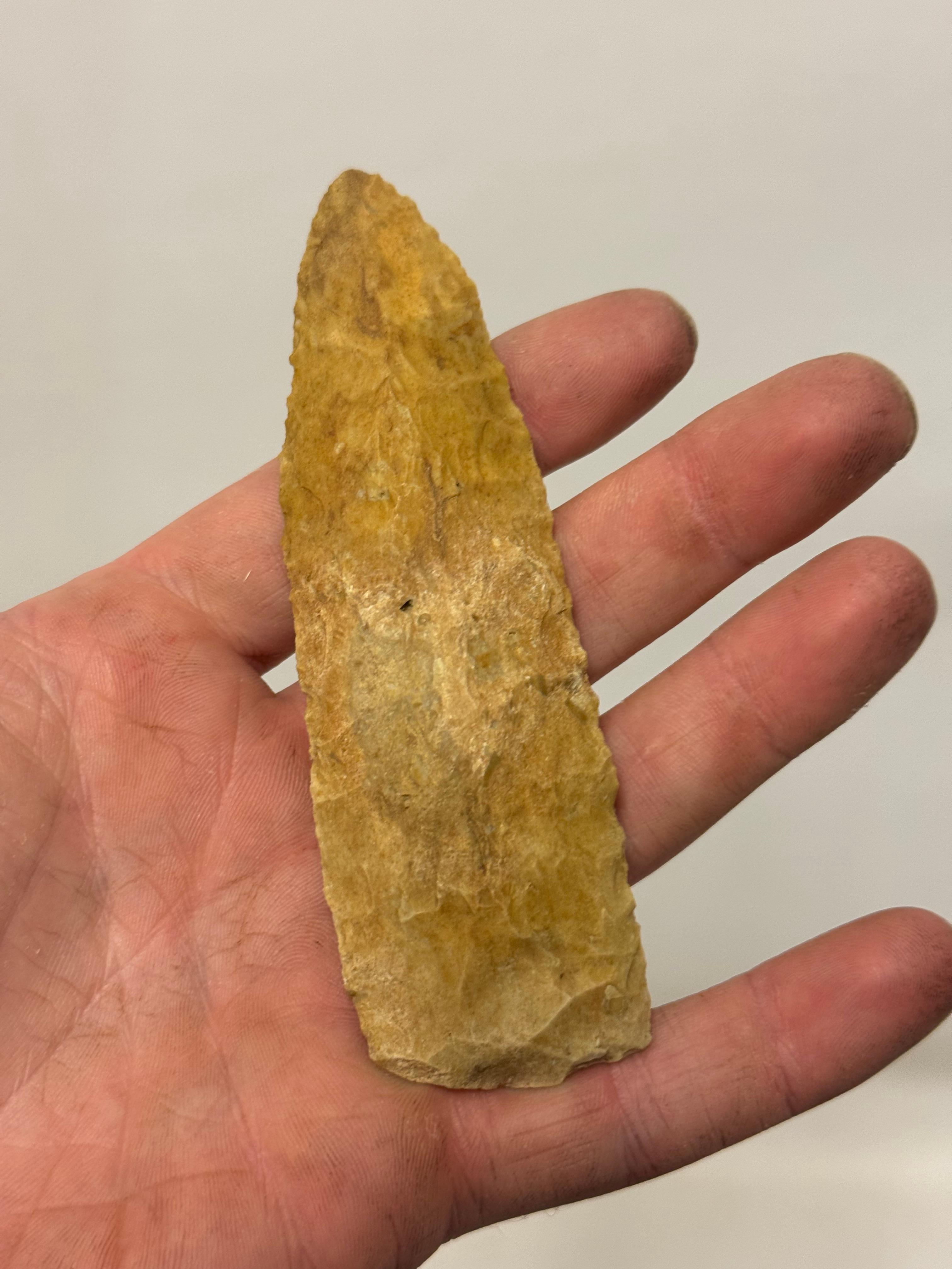 20pc. Curated Ancient Native American Projectile Point Cased Display from North Alabama