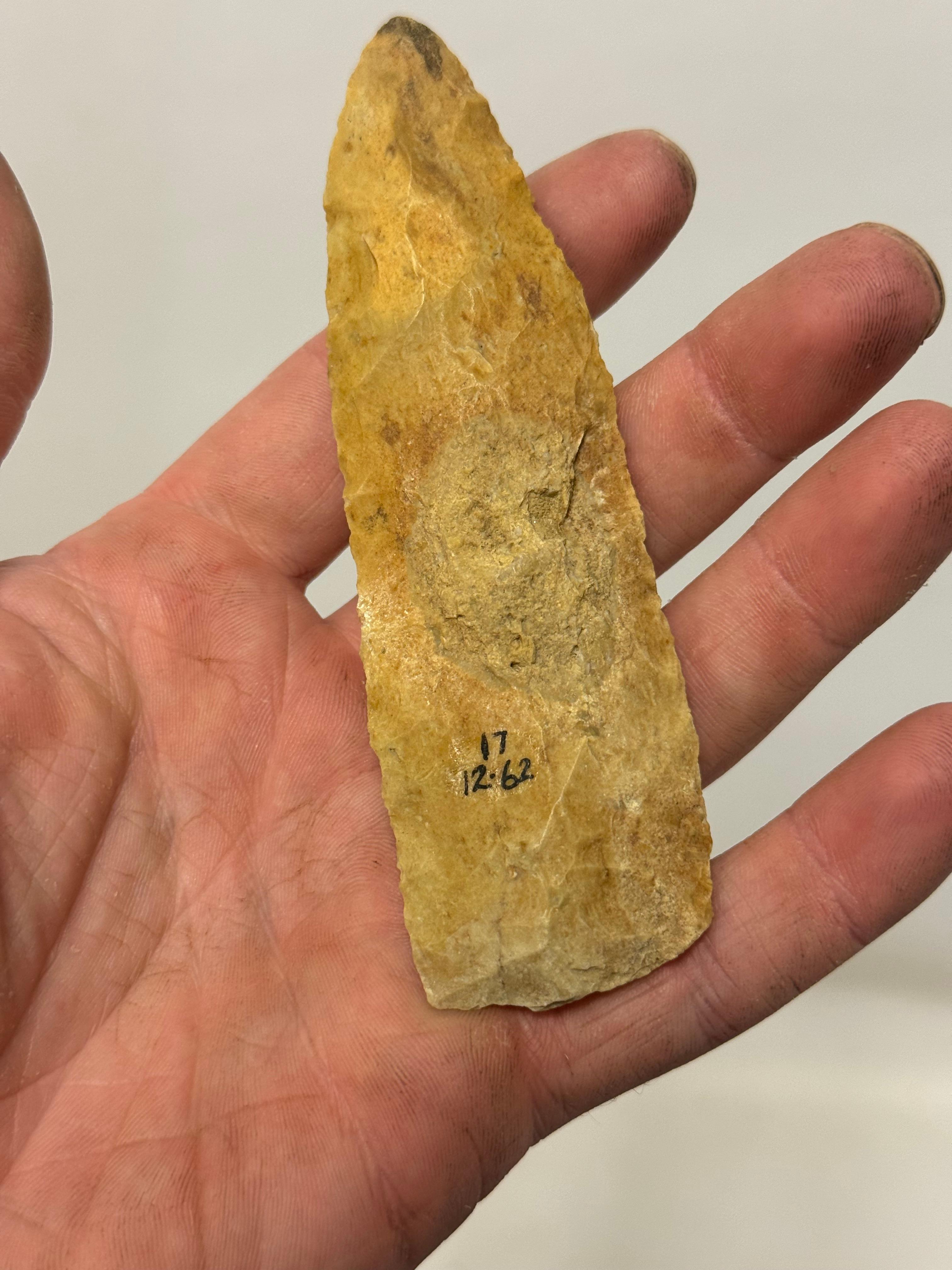 20pc. Curated Ancient Native American Projectile Point Cased Display from North Alabama