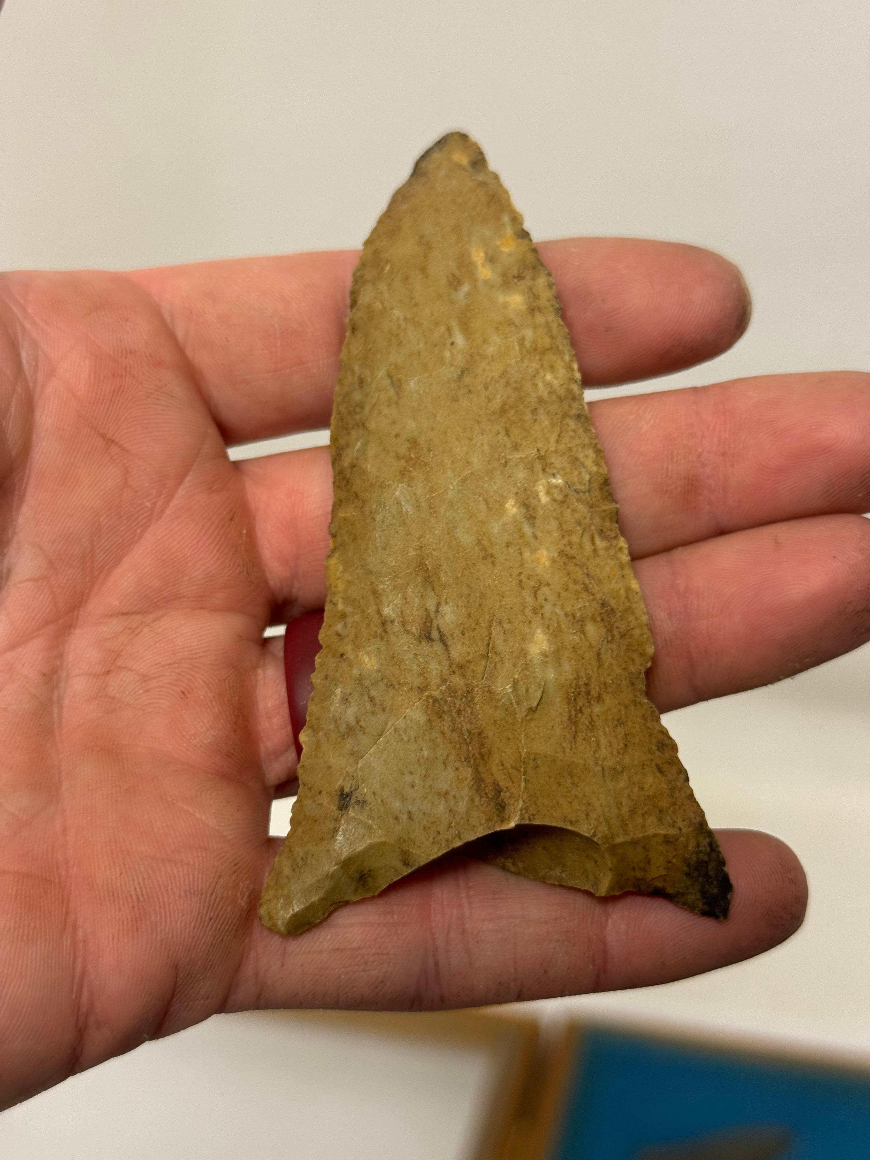 20pc. Curated Ancient Native American Projectile Point Cased Display from North Alabama