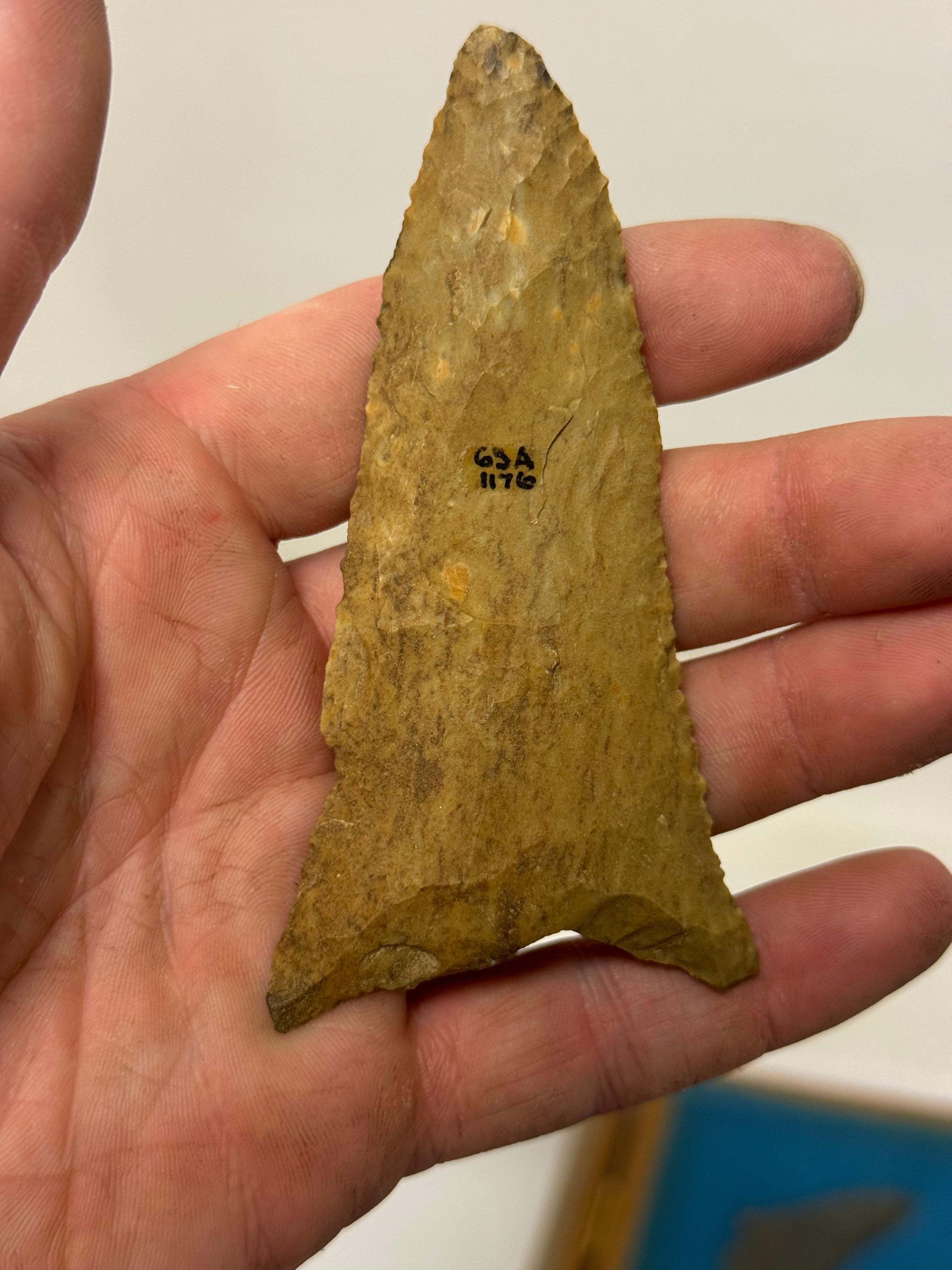 20pc. Curated Ancient Native American Projectile Point Cased Display from North Alabama