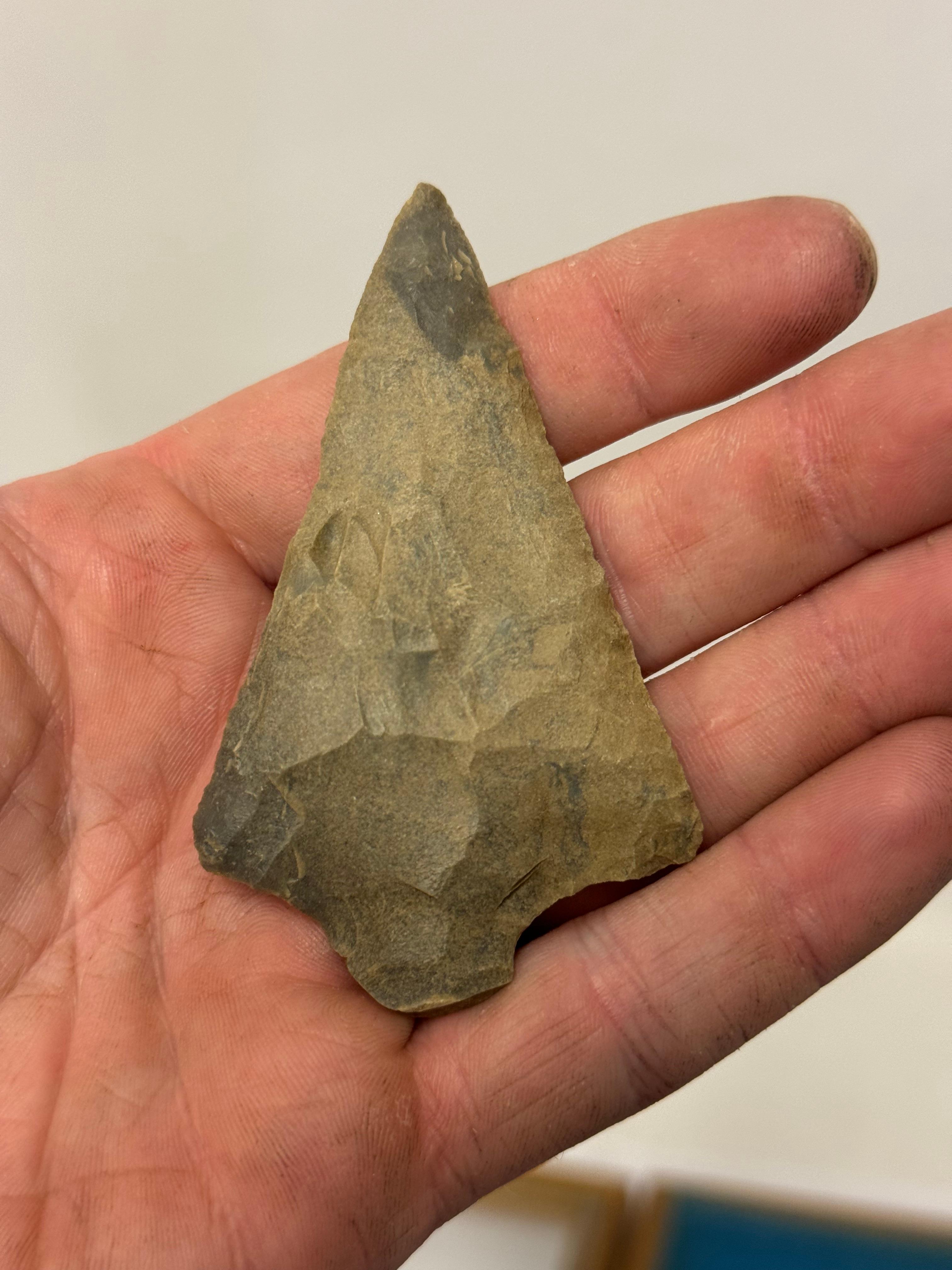 20pc. Curated Ancient Native American Projectile Point Cased Display from North Alabama