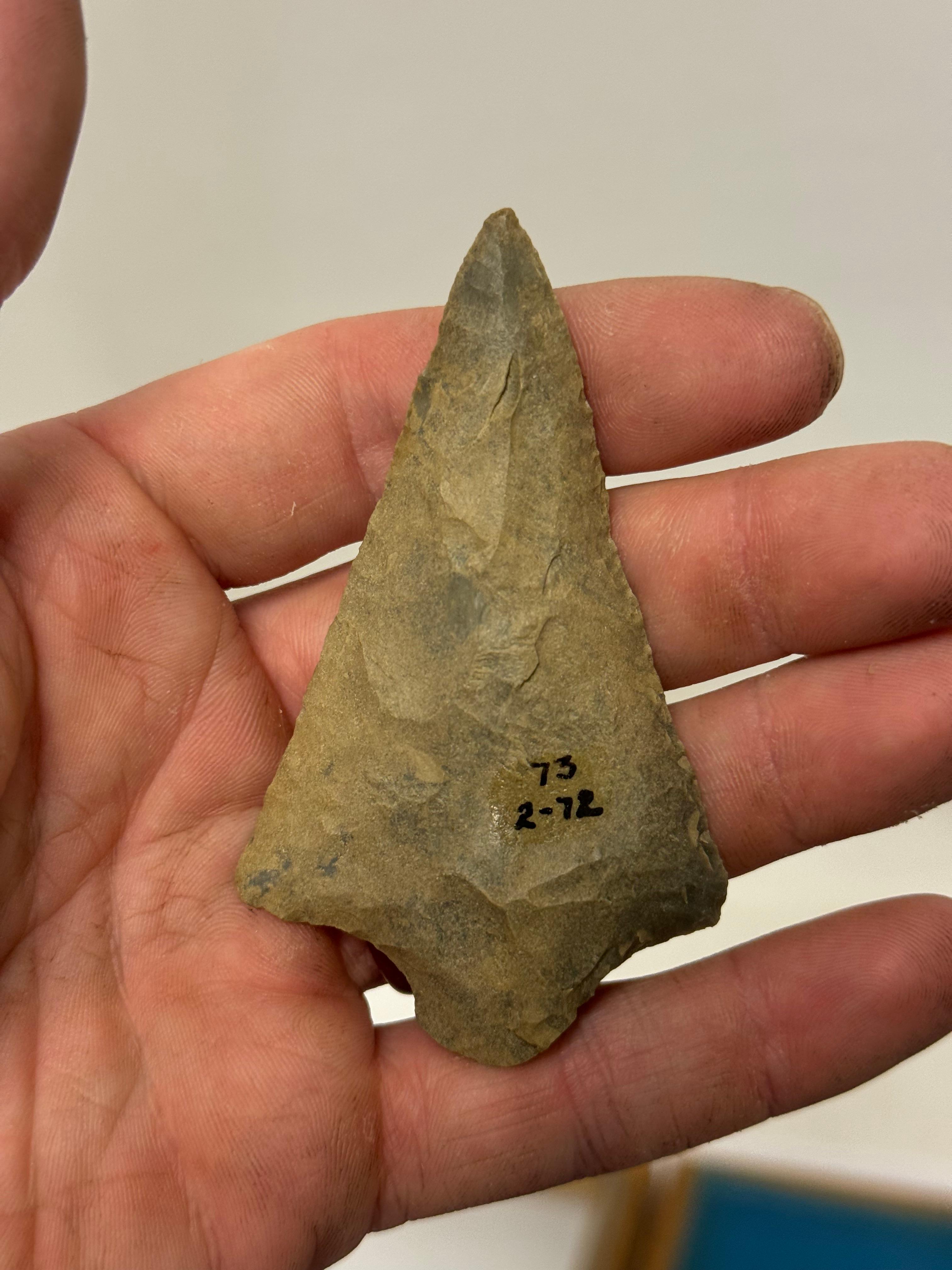 20pc. Curated Ancient Native American Projectile Point Cased Display from North Alabama