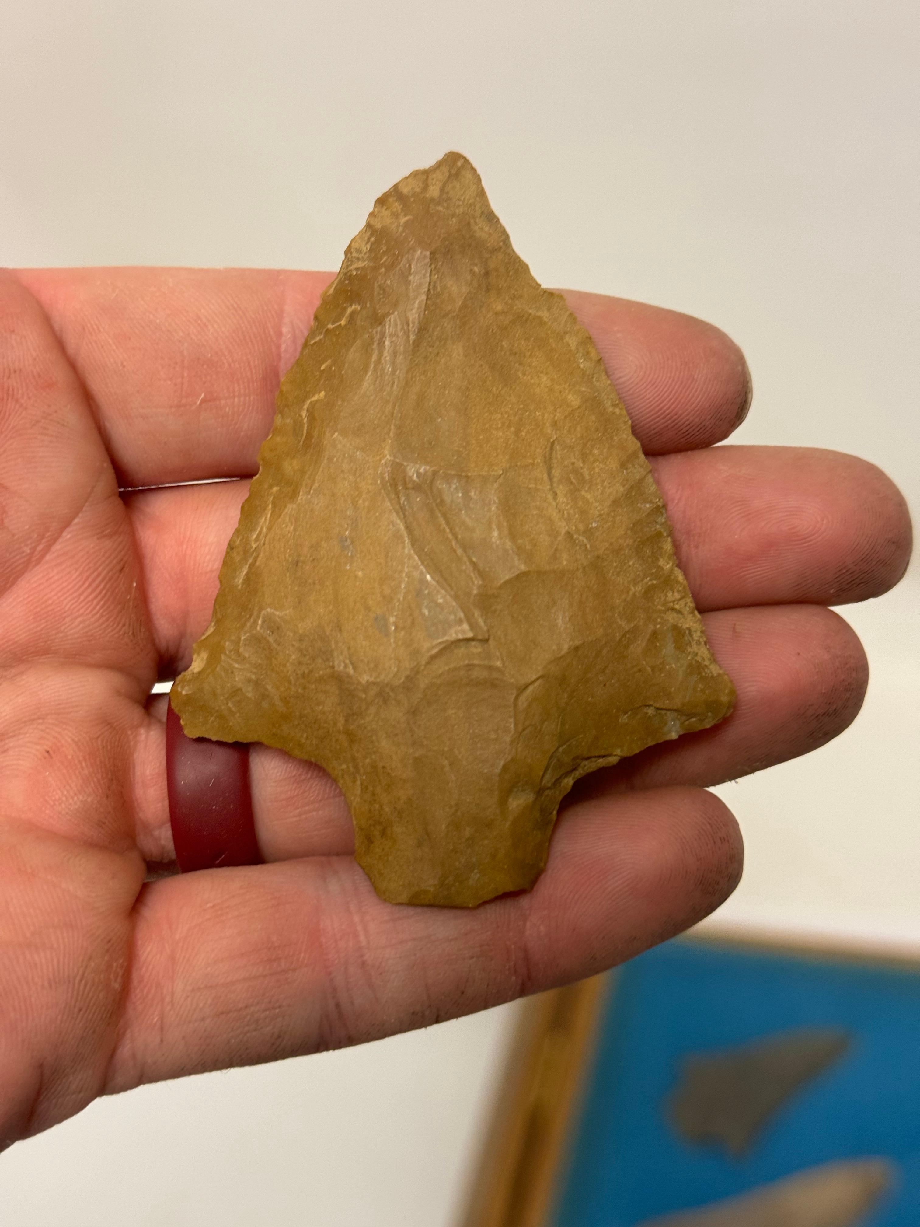20pc. Curated Ancient Native American Projectile Point Cased Display from North Alabama
