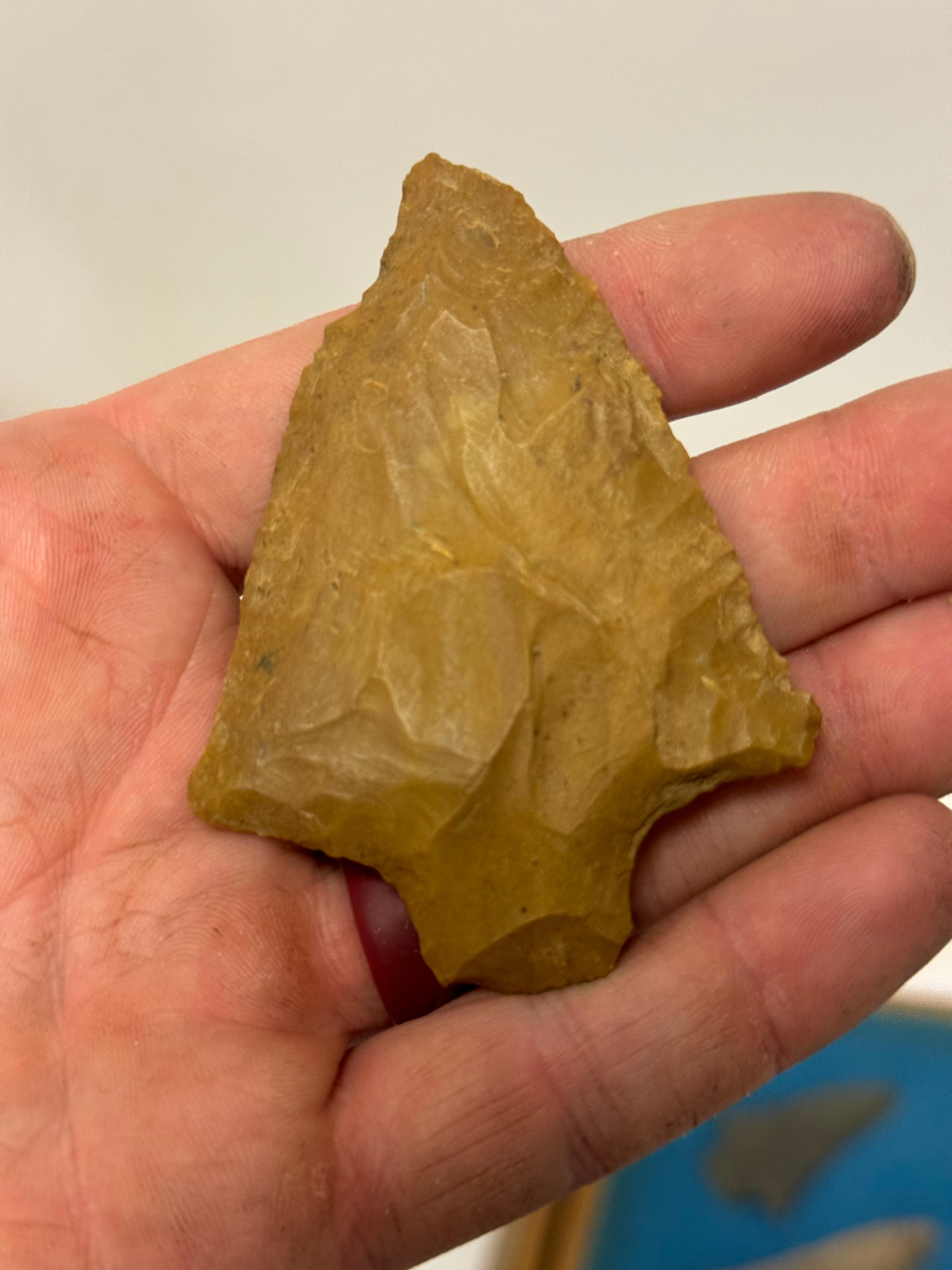 20pc. Curated Ancient Native American Projectile Point Cased Display from North Alabama