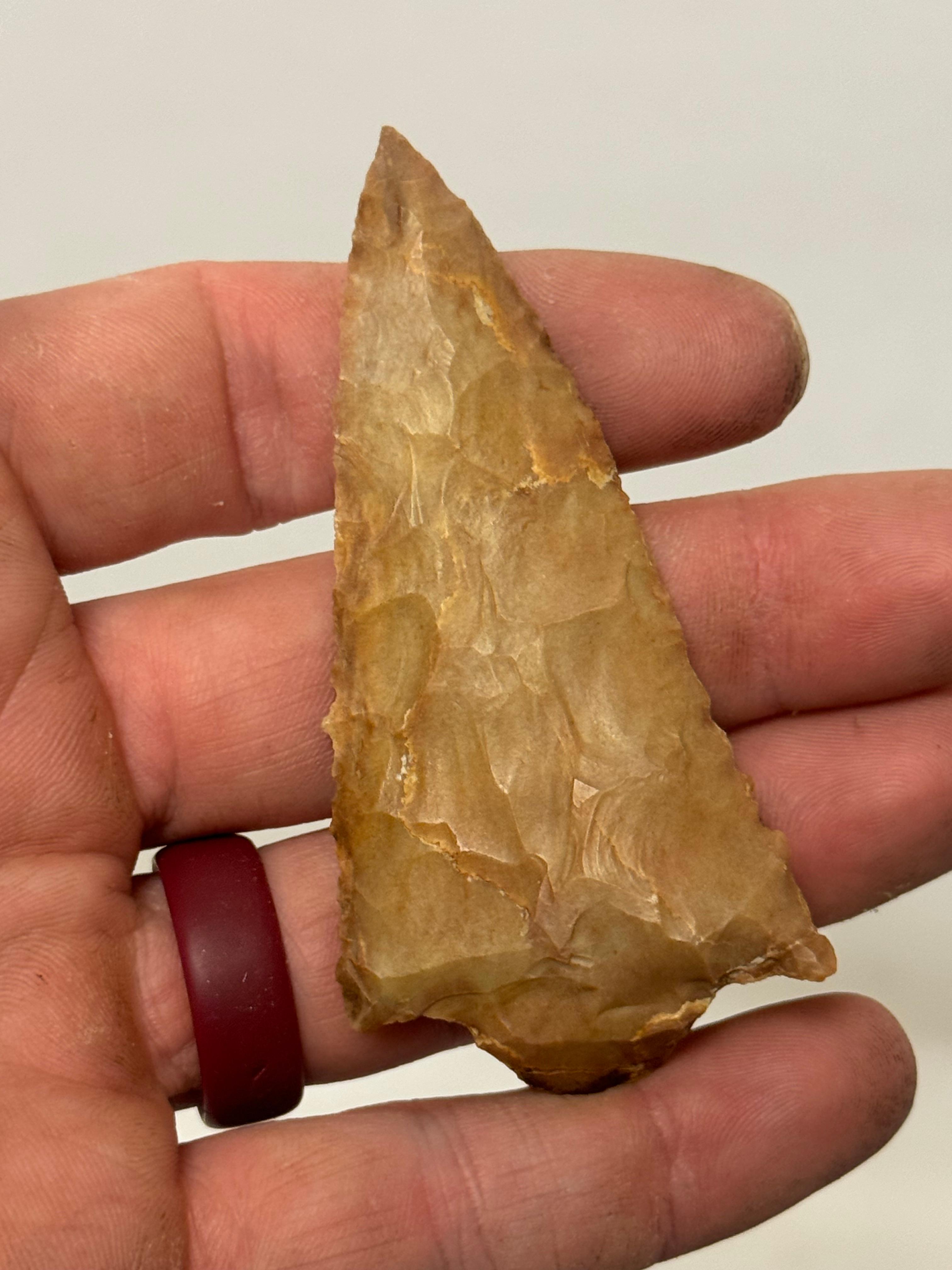 20pc. Curated Ancient Native American Projectile Point Cased Display from North Alabama