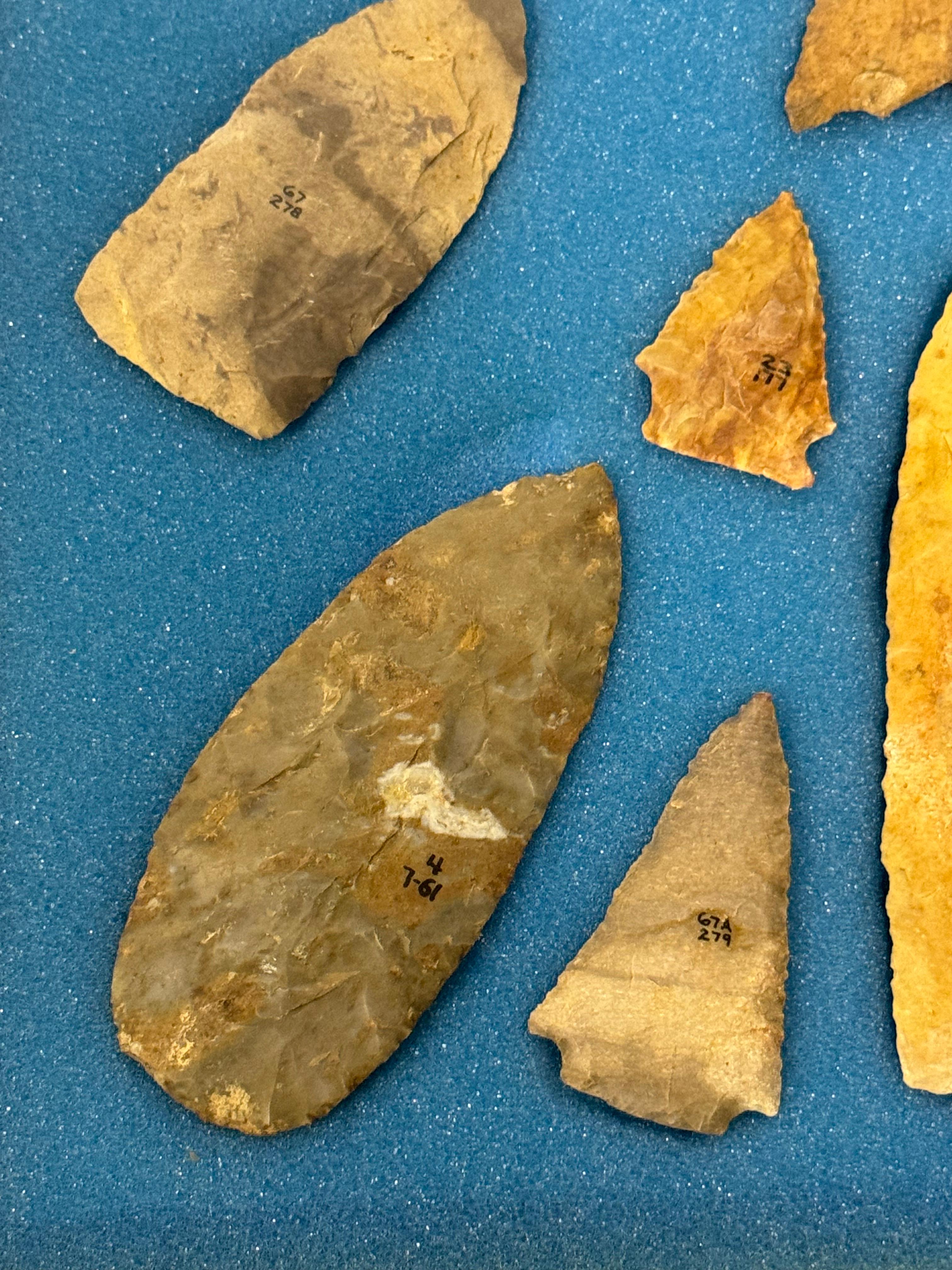 20pc. Curated Ancient Native American Projectile Point Cased Display from North Alabama