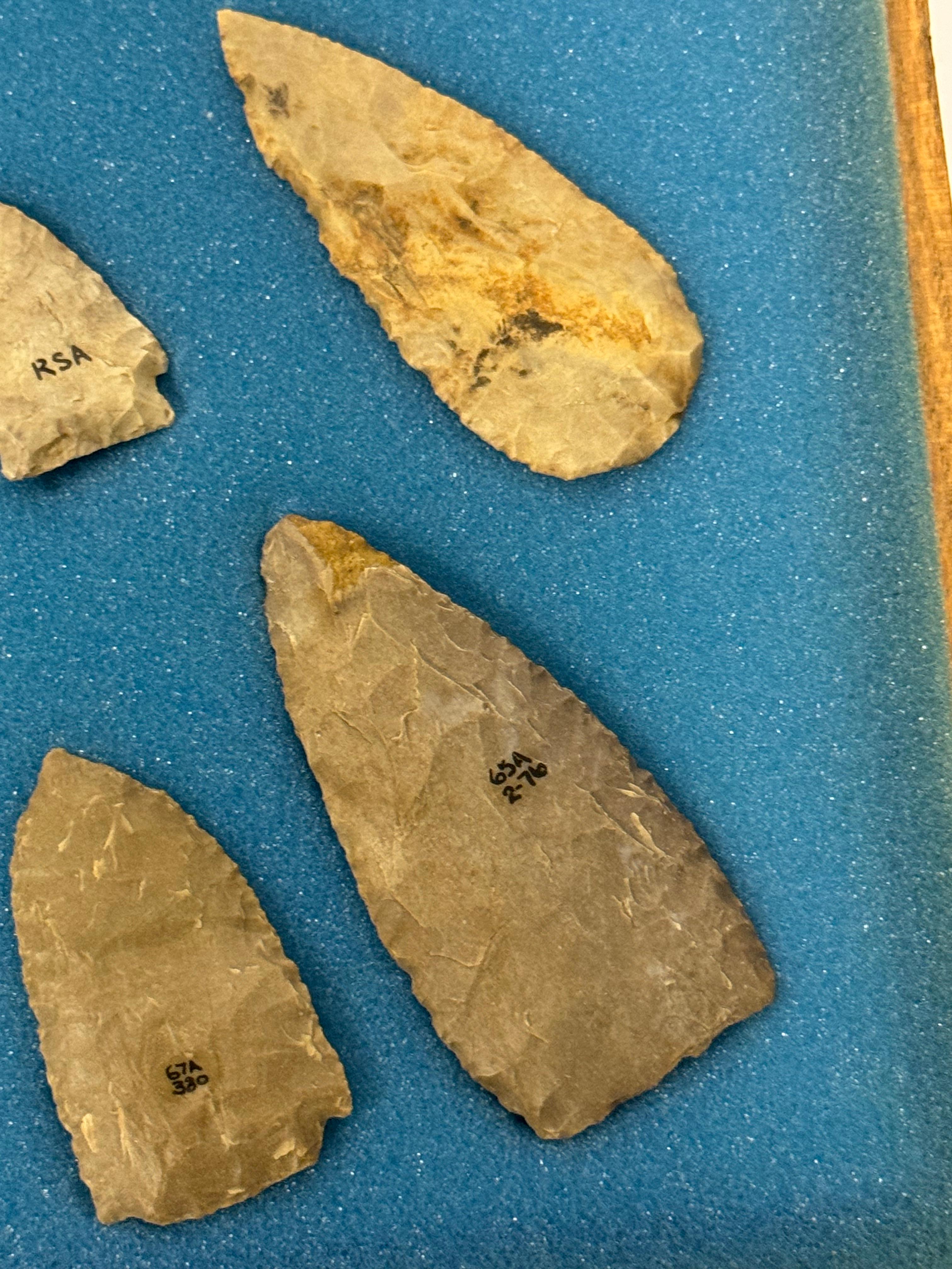 20pc. Curated Ancient Native American Projectile Point Cased Display from North Alabama