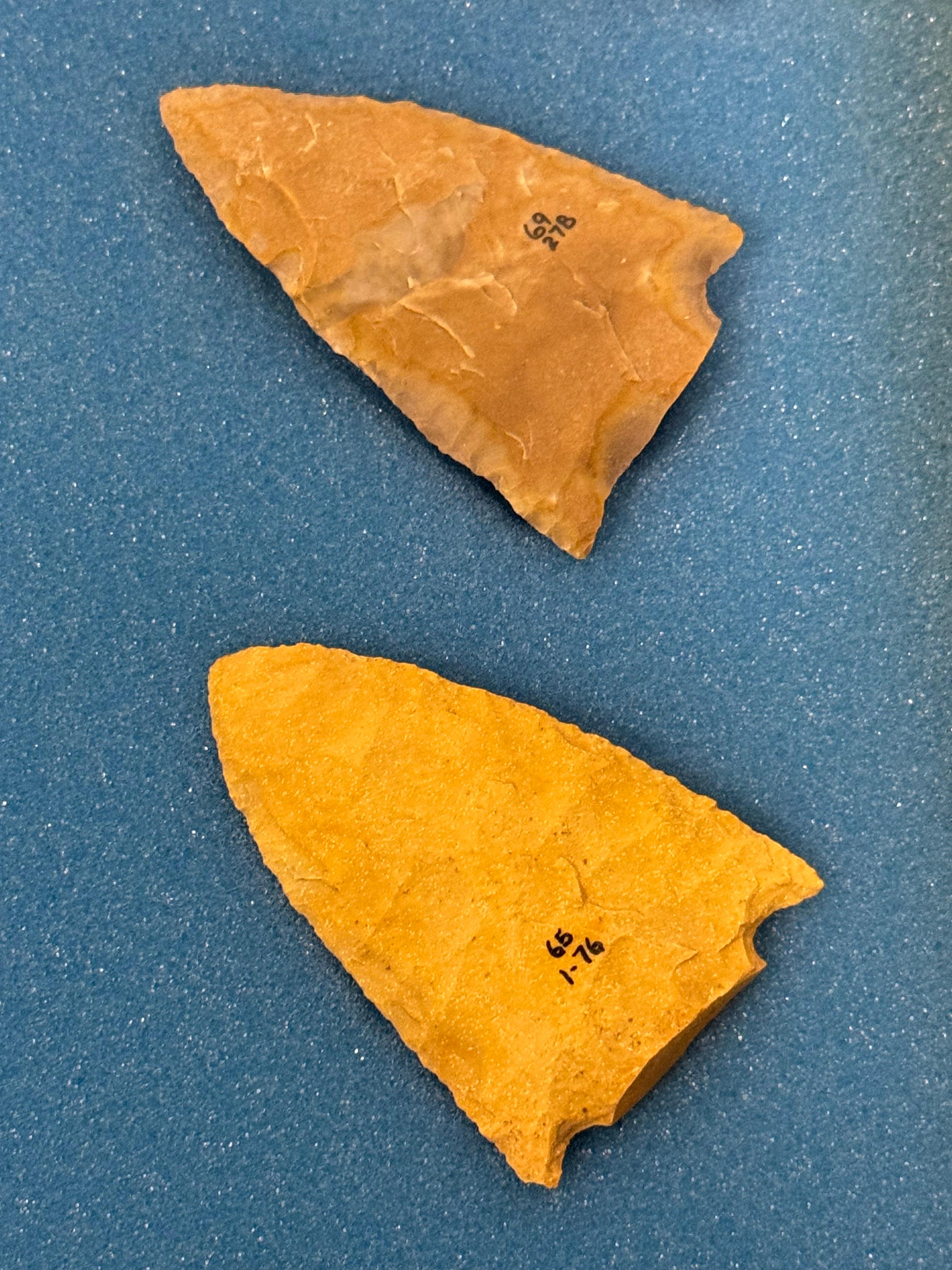 20pc. Curated Ancient Native American Projectile Point Cased Display from North Alabama