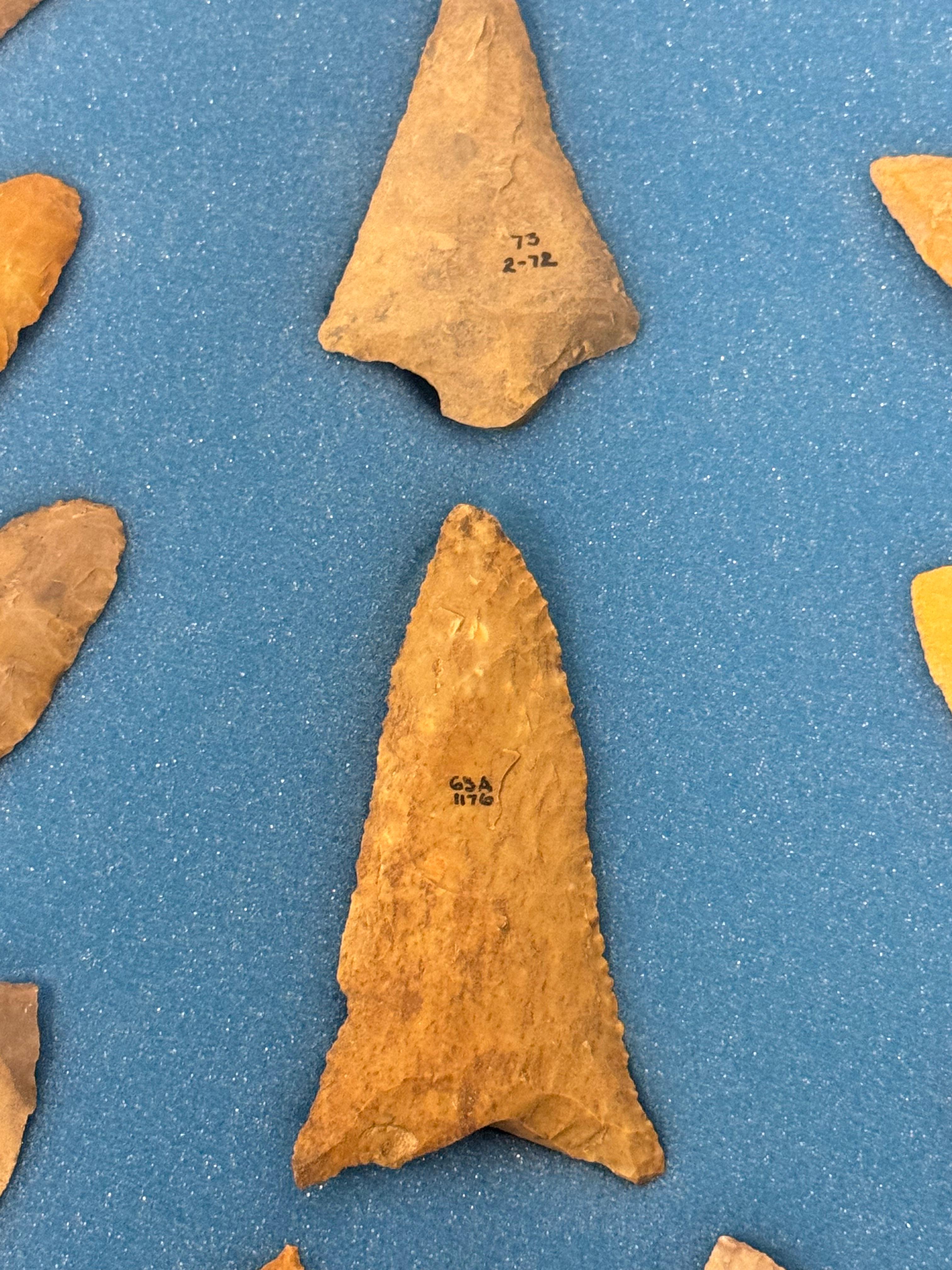 20pc. Curated Ancient Native American Projectile Point Cased Display from North Alabama