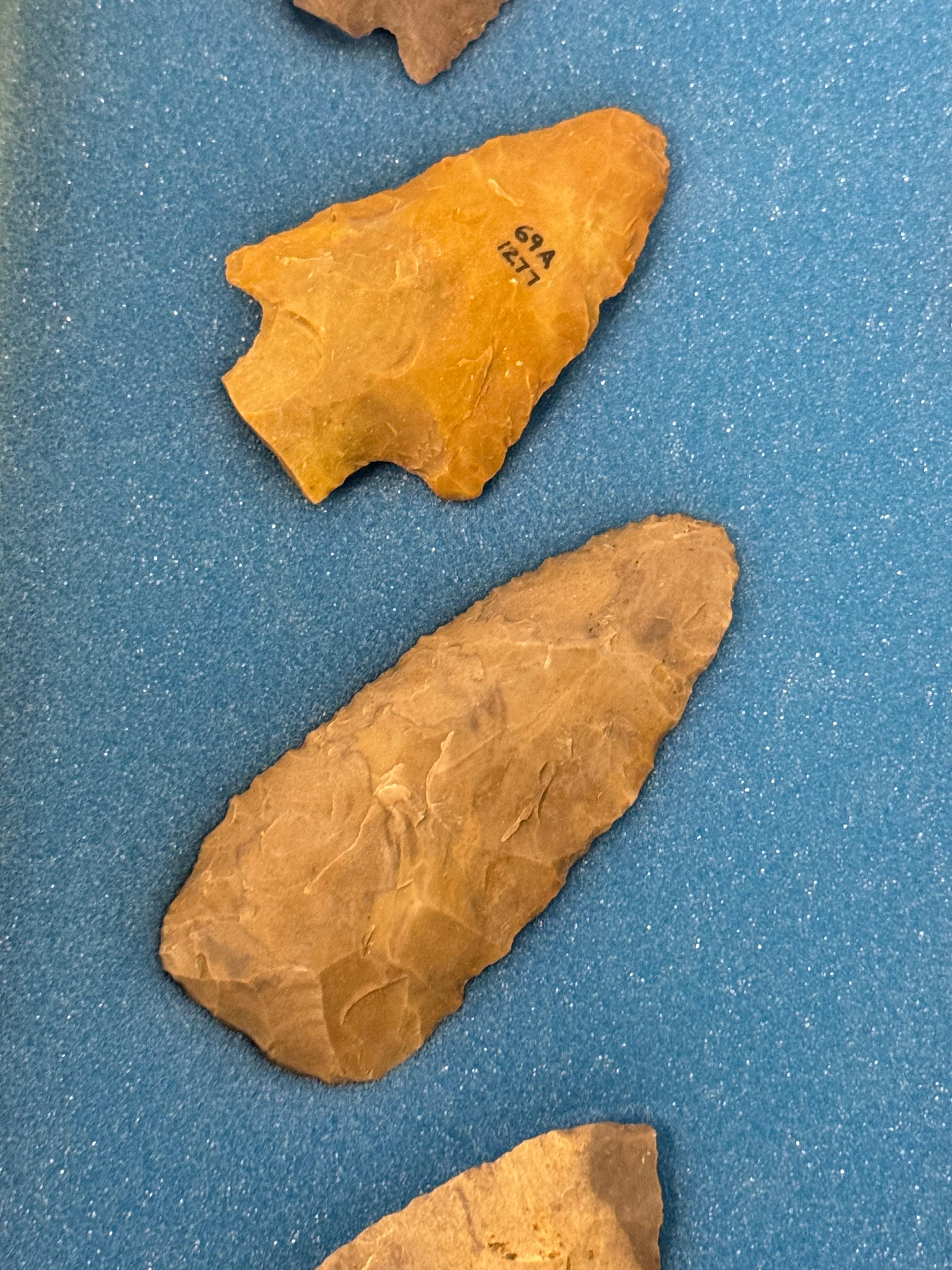 20pc. Curated Ancient Native American Projectile Point Cased Display from North Alabama