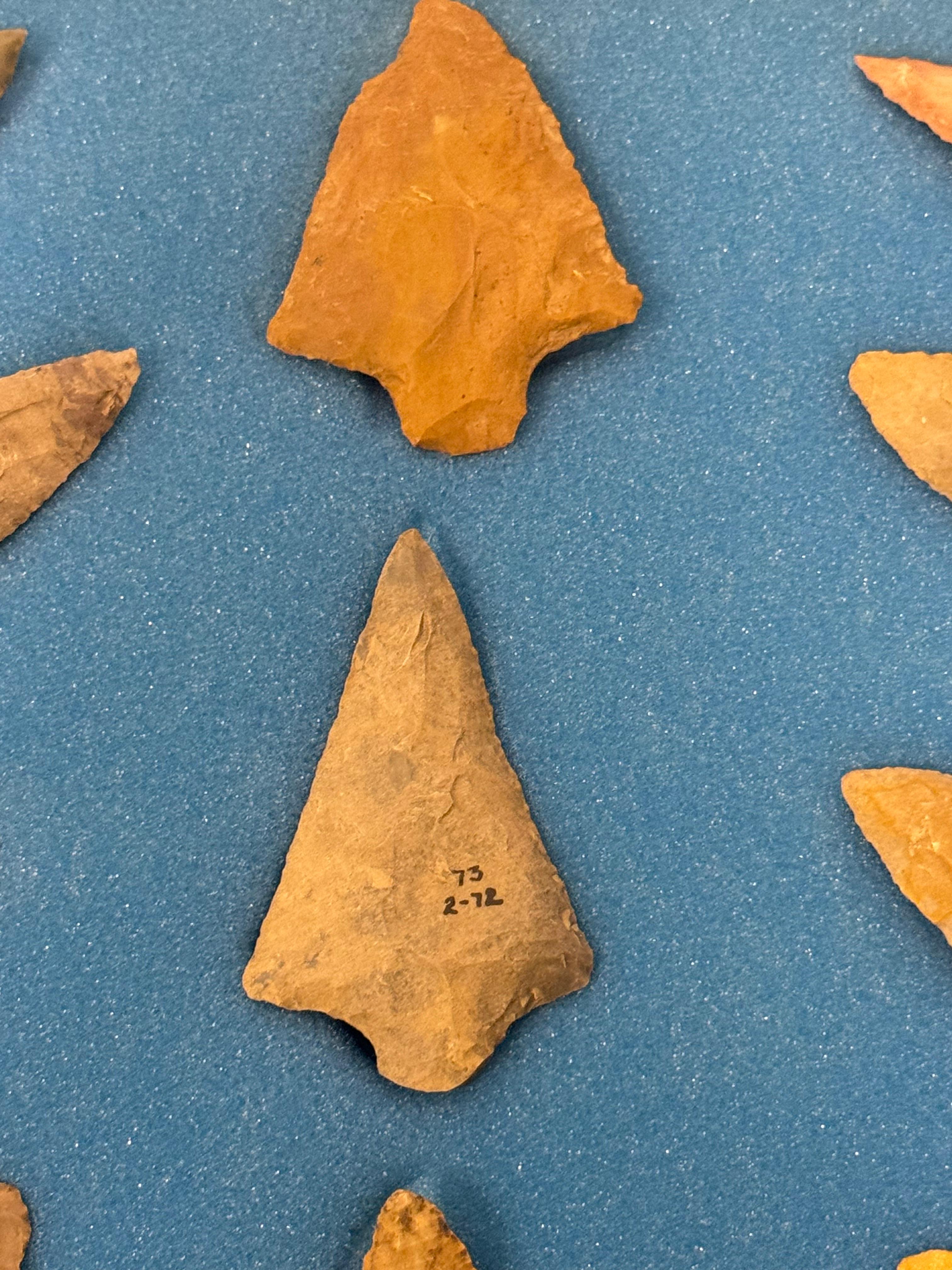 20pc. Curated Ancient Native American Projectile Point Cased Display from North Alabama