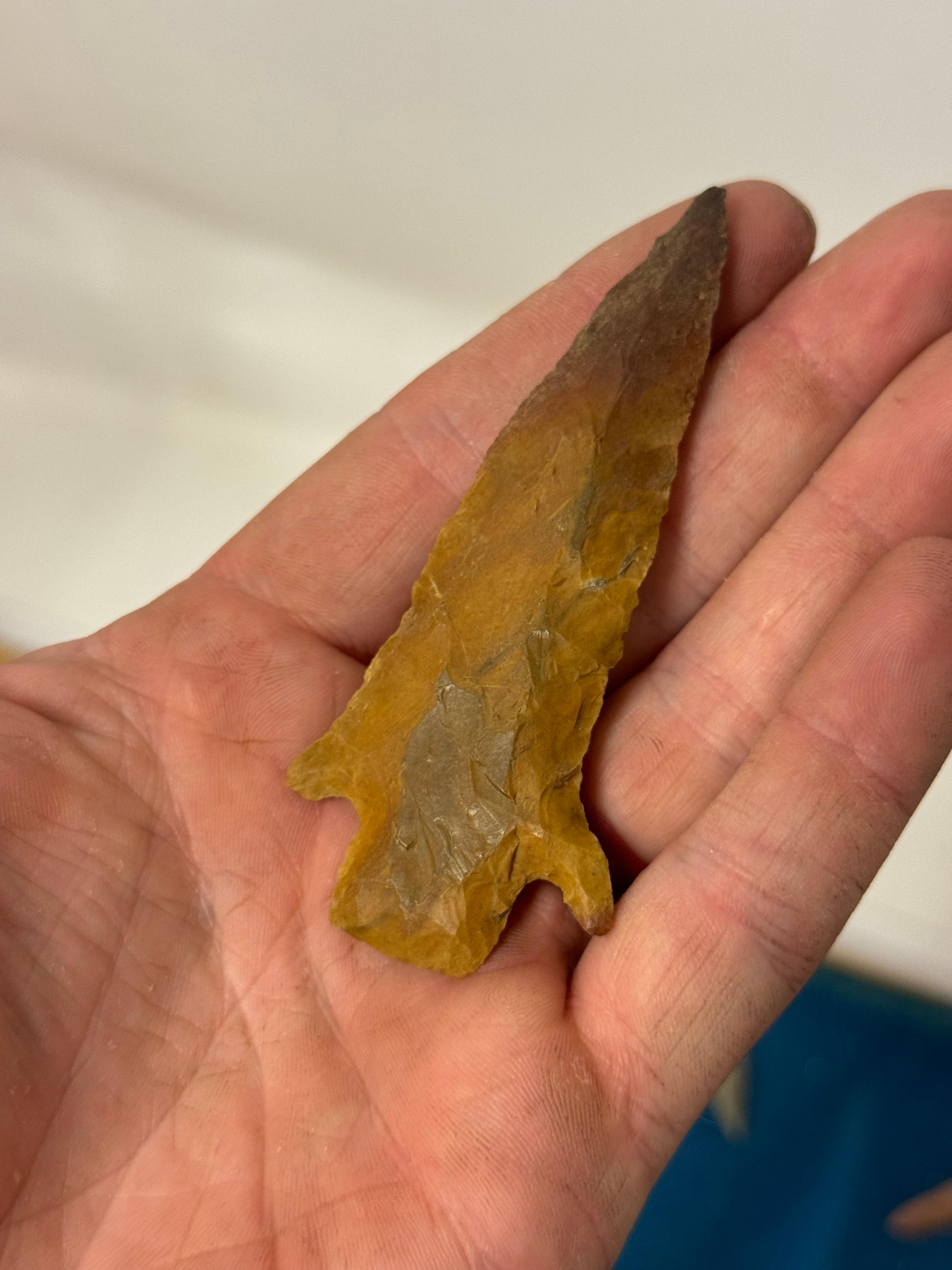 33pc. Curated Ancient Native American Projectile Point Cased Display from North Alabama