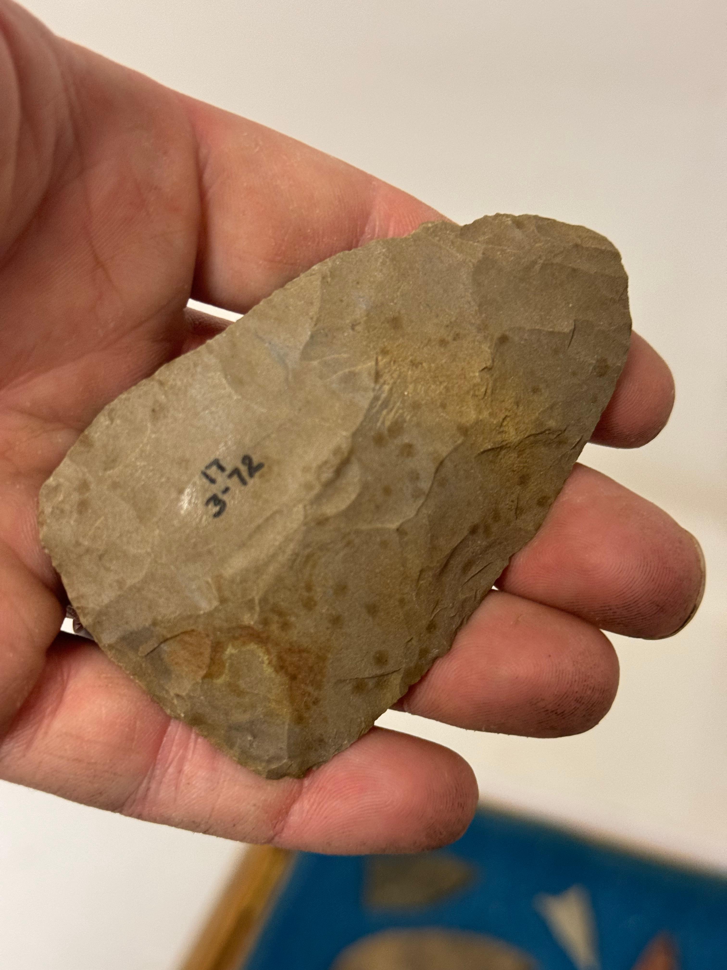 33pc. Curated Ancient Native American Projectile Point Cased Display from North Alabama
